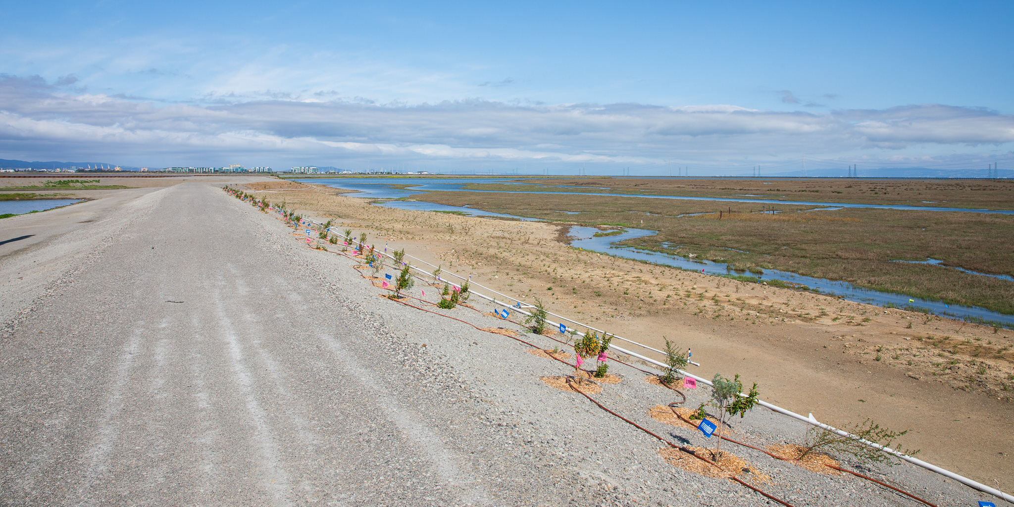 F&L West Bay Sanitary District Flow Equalization & Resource Recovery Facility (FERRF) Levee Improvements
