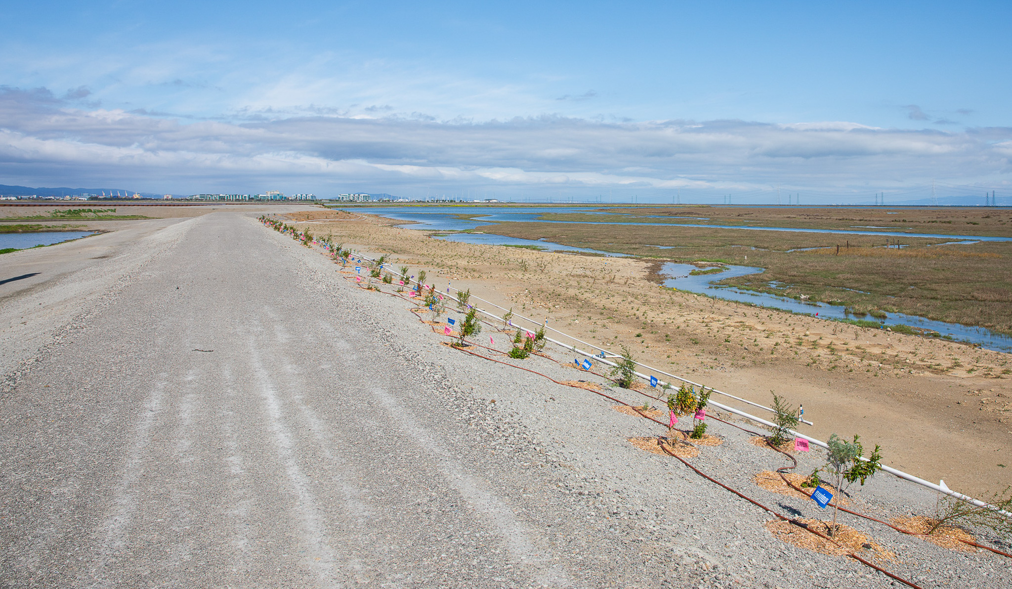 WBSD Levee Improvements